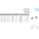 M10 Vierkantmuttern DIN 557 A4-80 SW 17