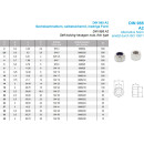M22 Sechskantmutter, selbstsichernd, niedrige Form DIN 985 A2-70 Gleitmo