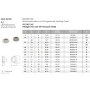 BM24 x2 Sechskantmutter mit Feingewinde, niedrige Form ISO 8675 A2-035