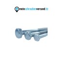 Sechskant Edelstahl Holzschrauben DIN 571 Wiener Schrauben Schlüsselschrauben Holzschrauben Edelstahlschrauben Rostfrei 6 x 80 mm 10