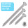 Blechschrauben Linsenkopf 5,5x70 Torx Edelstahl ISO 14585 DIN 7981 Bohrspitze-selbstschneidend 3,9 x 9,5 mm 25
