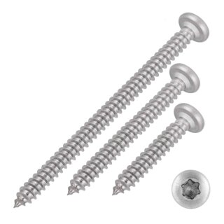 Blechschrauben Linsenkopf 5,5x70 Torx Edelstahl ISO 14585 DIN 7981 Bohrspitze-selbstschneidend 5,5 x 22 mm 25